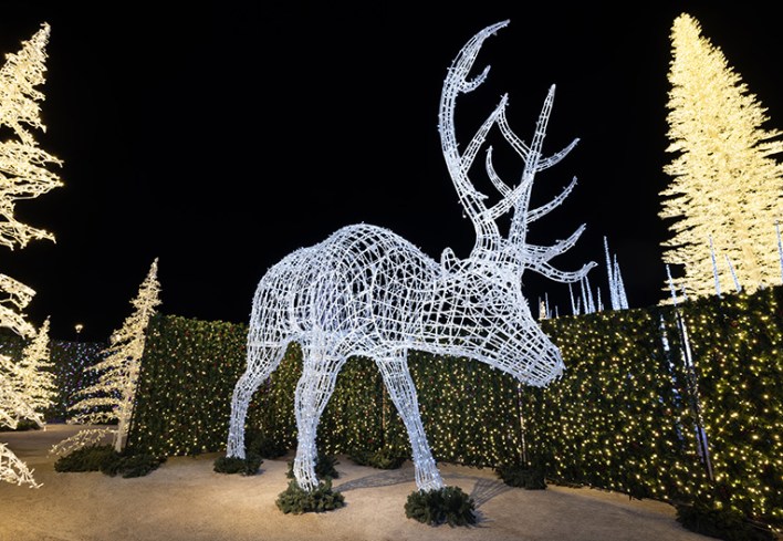 Reindeer Games - Enchant Christmas Maze